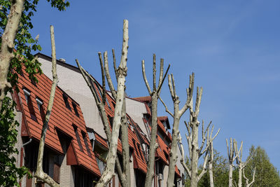 Low angle view of building against sky