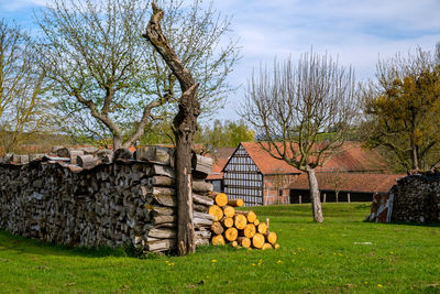 Stack of logs on field by house