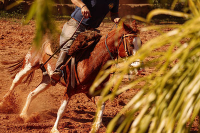 Rear view of man working at farm