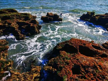 High angle view of rocks on beach