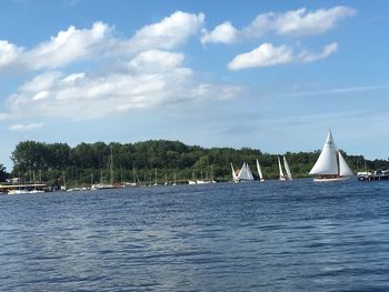 Sailboats sailing on sea against sky