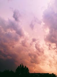 Low angle view of silhouette trees against sky during sunset