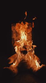 Close-up of fire in the dark