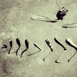 High angle view of woman in pond