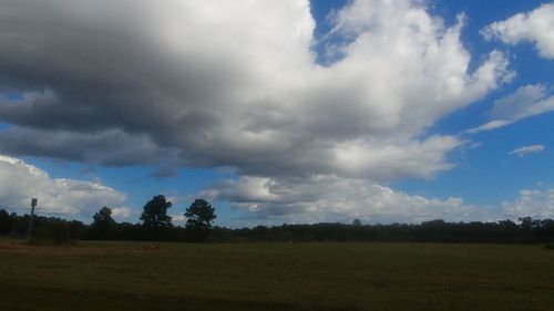 Scenic view of field against sky