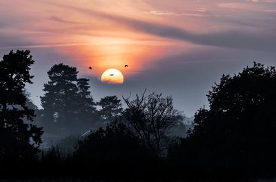 Silhouette trees against sky during sunset