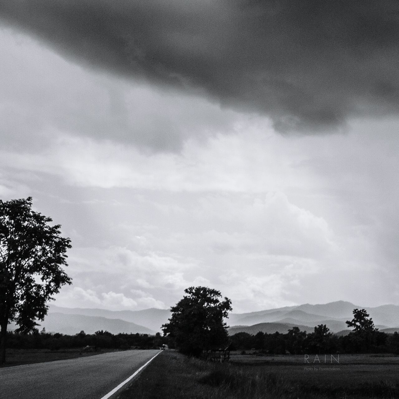 sky, road, transportation, the way forward, tree, cloud - sky, country road, landscape, cloudy, tranquility, tranquil scene, road marking, diminishing perspective, cloud, nature, scenics, vanishing point, beauty in nature, field, street