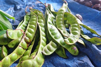 High angle view of succulent plant