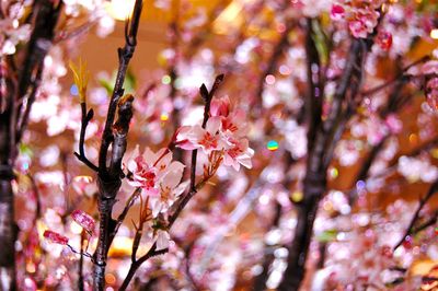 Close-up of artificial pink tree at yard