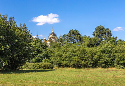 Trees and plants outside temple against sky