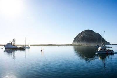 Sailboats moored on sea against clear sky