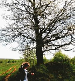 Bare trees on grassy field