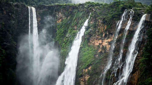 Scenic view of waterfall in forest