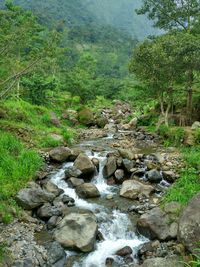 High angle view of water flowing in grass