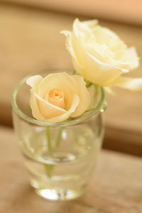 Close-up of flower on table
