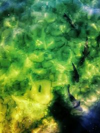 Full frame shot of water