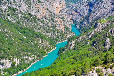 Scenic view of river amidst trees