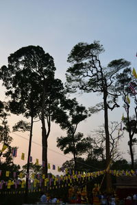 Trees against clear sky