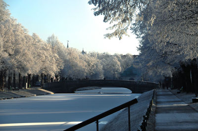 Road amidst trees against clear sky during winter