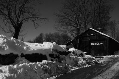 Snow covered trees and houses against sky