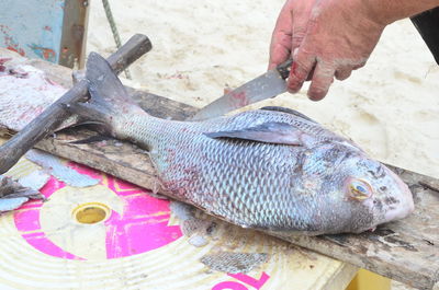 Cropped hand of man slicing fish at market stall