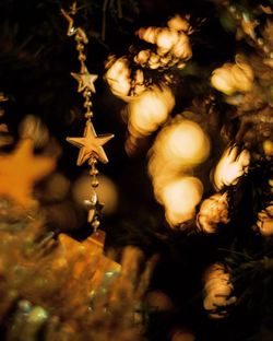 Close-up of christmas tree at night