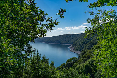 Scenic view of river in forest against sky