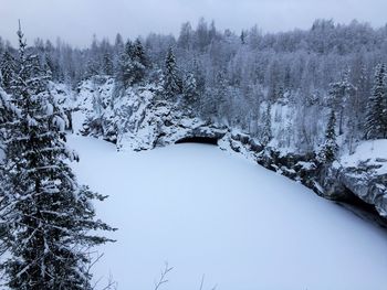 Snow covered land and trees against sky