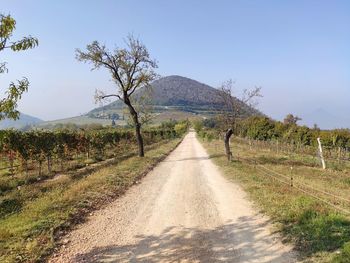 Dirt road by plants against sky