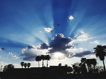 Low angle view of silhouette palm trees against blue sky