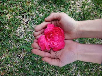 Close-up of hand on pink grass