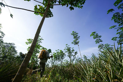 Low angle view of man standing by tree against sky