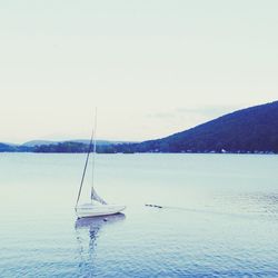 Boats in sea