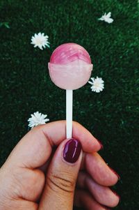 Close-up of hand holding pink flower