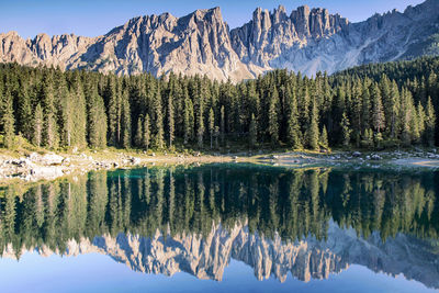 Reflection of trees and mountains on lake
