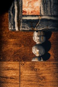 Directly above shot of animal on wooden table