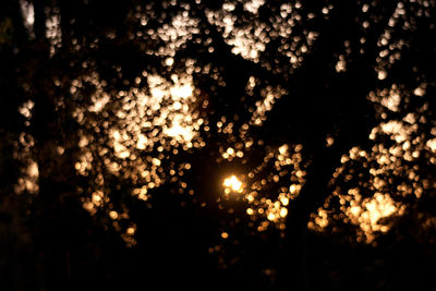 Defocused image of illuminated trees against sky at night