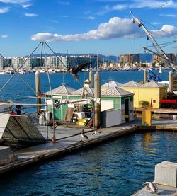 Boats moored at harbor