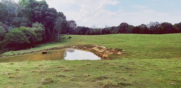 Scenic view of land against sky