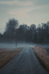 Road amidst bare trees against sky