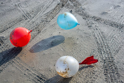 High angle view of shell on sand