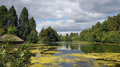 Scenic view of lake by trees against sky