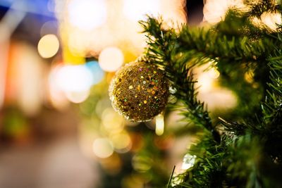 Close-up of golden ball hanging from christmas tree