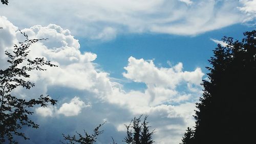 Low angle view of trees against cloudy sky