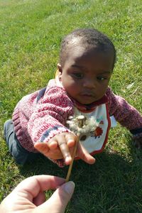 Close-up of hand giving boy dandelion on grass