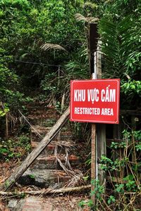 Information sign by trees in forest