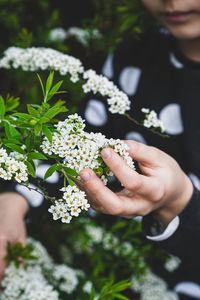 Close-up of hand holding flowering plant