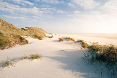 Scenic view of beach against sky