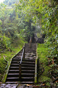 Staircase on steps amidst trees