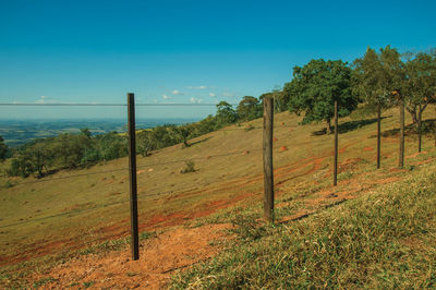 Scenic view of trees on field against sky